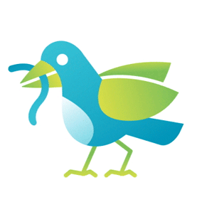bird_v2