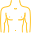 icon-torso